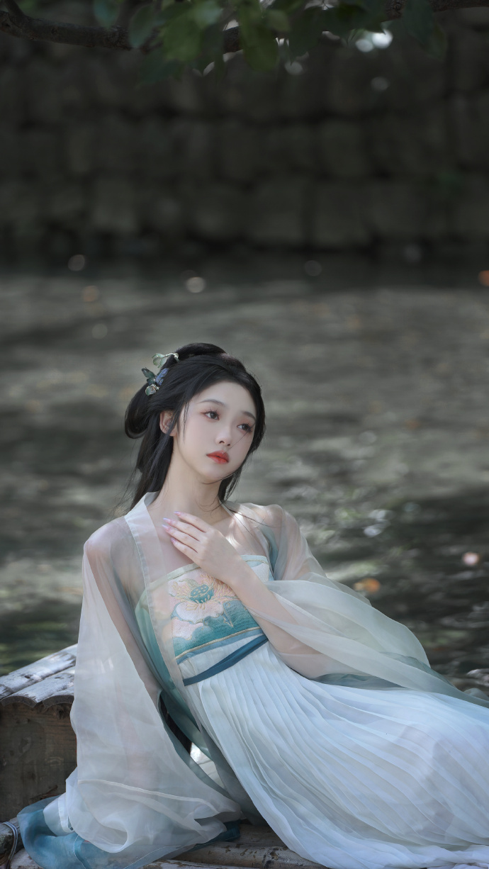 卧虎藏龙 封面
